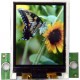 1.8 Inch Color TFT SPI Lcd Display Module with Pcb