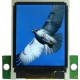 2.0 Inch Color TFT SPI Lcd Display Module with Pcb